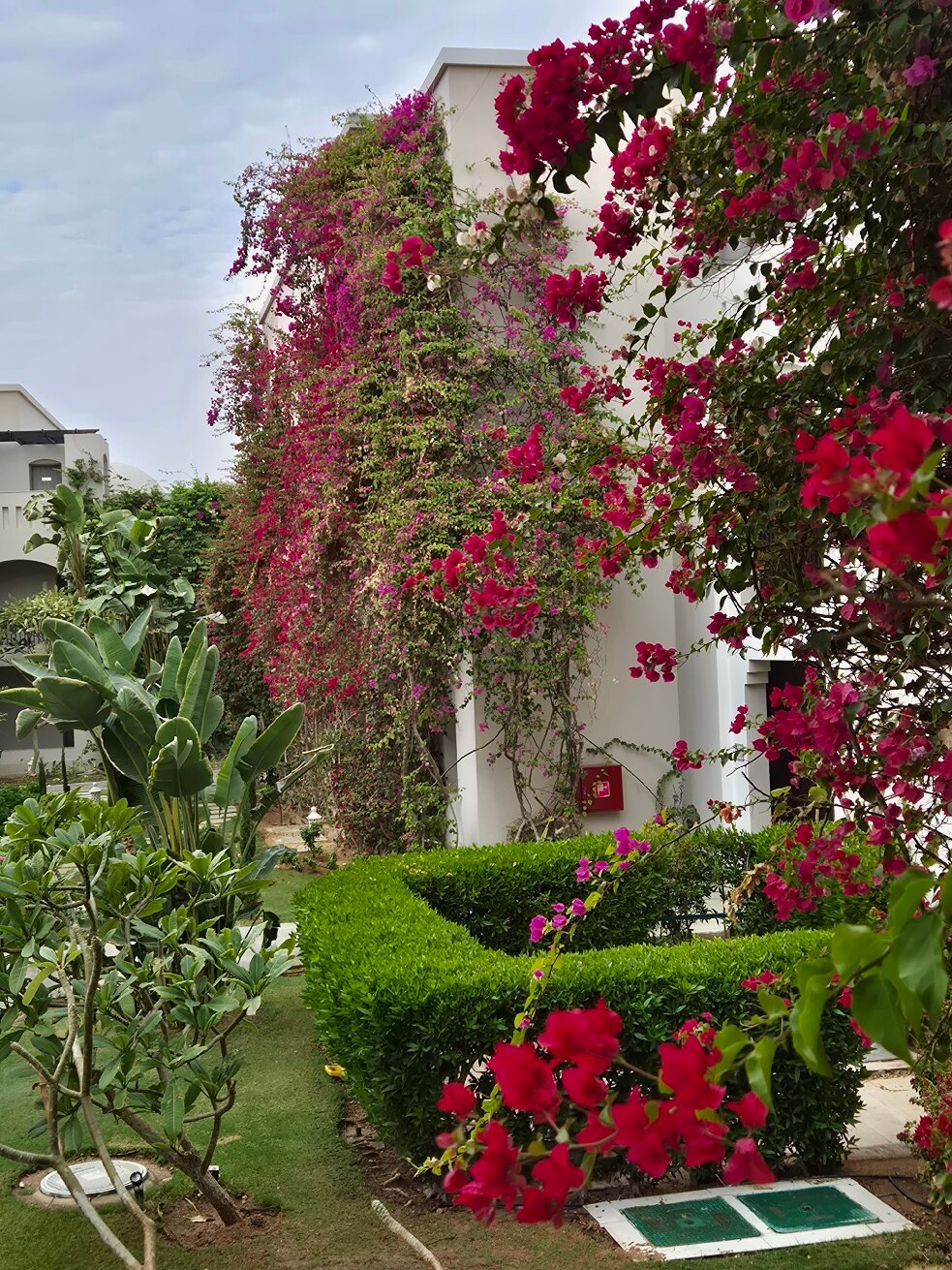 Steigenberger Alcazar-官方