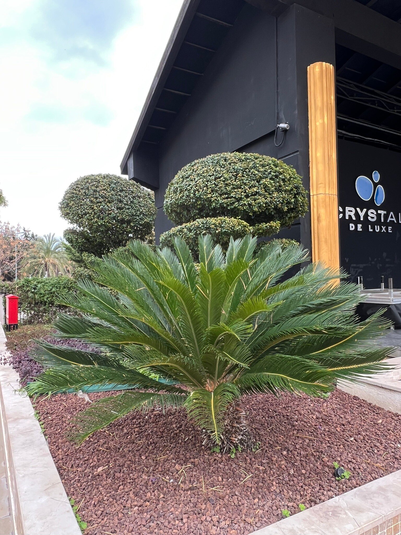 Crystal De Luxe Resort & Spa-官方