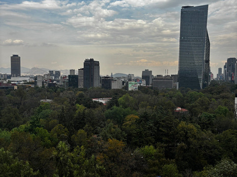 Polanco-墨西哥城必去景点