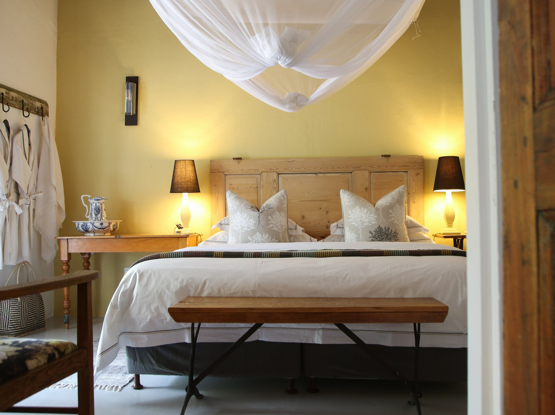 Dennehof Karoo Guesthouse主图