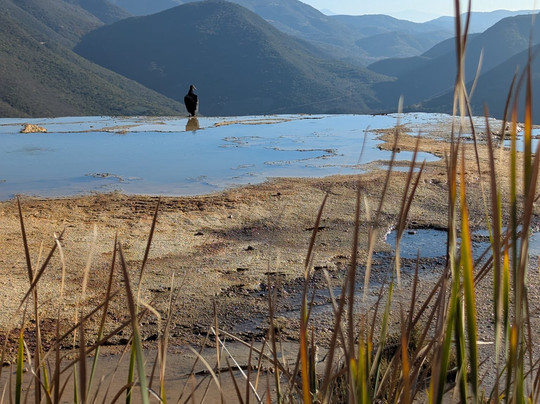 Zapotrek-瓦哈卡必去景点