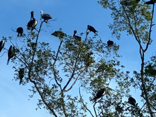 Vic-Tours-卡拉拉必去景点