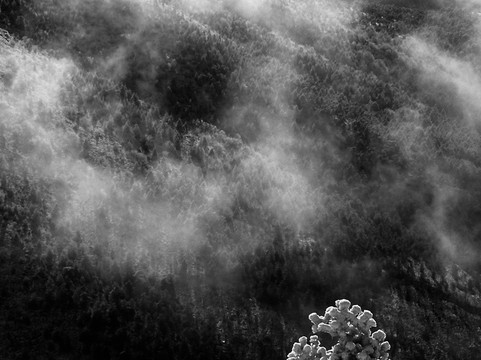 Piani di praglia-Ceranesi必去景点