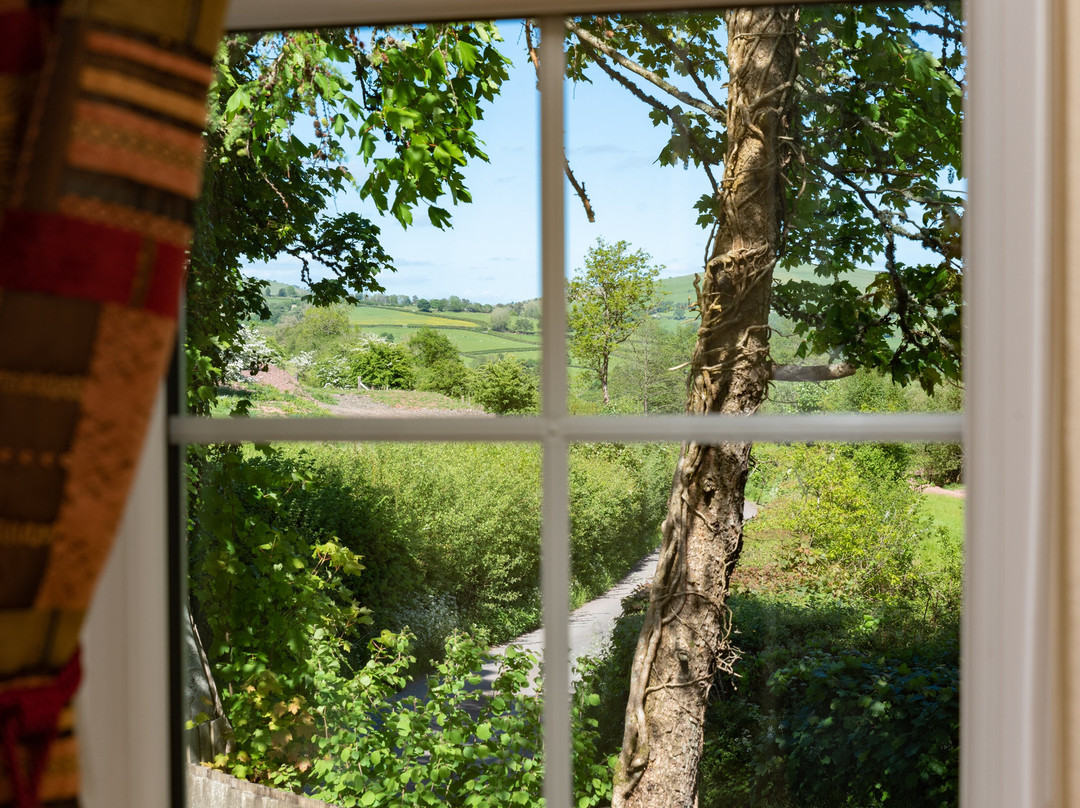 Tyn Y Coed Cottage