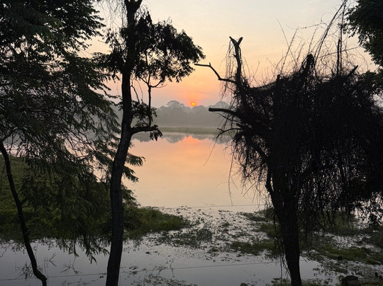 Sri Lanka Dream Tour-尼甘布必去景点