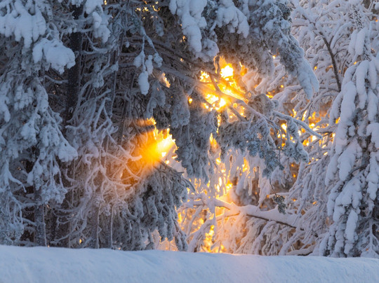 Hotelli Jussan Tupa主图