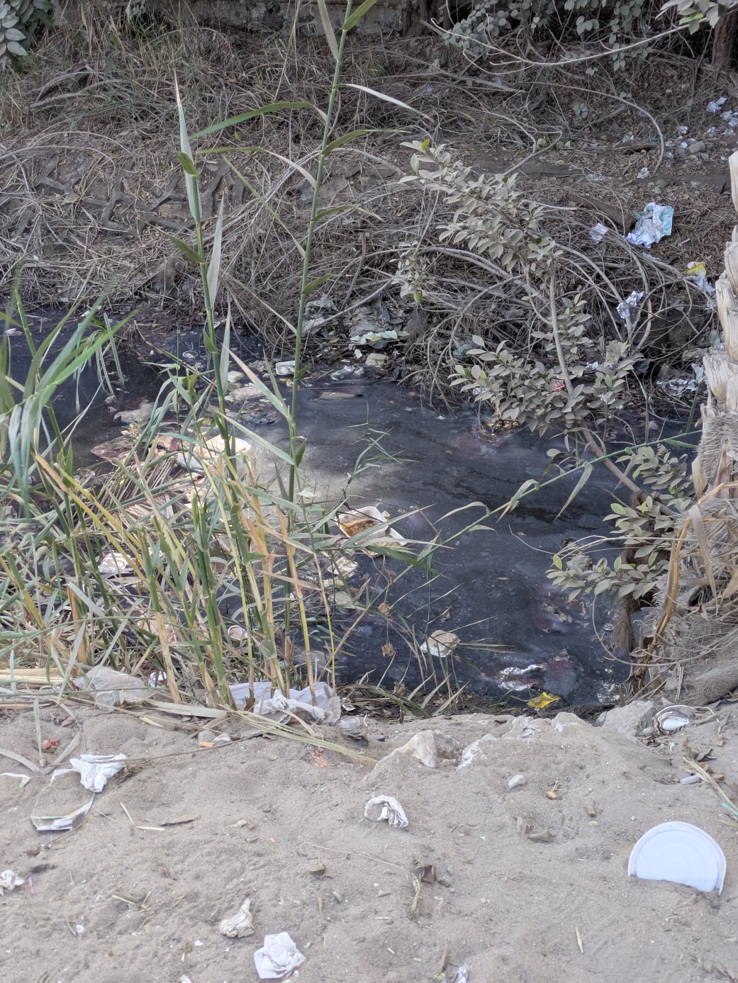 萨卡拉乡村俱乐部-官方