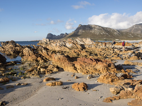 82 Steps to the Beach主图