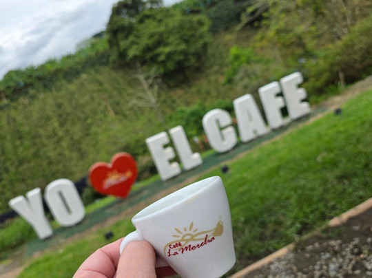 Café La Morelia-El Caimo必去景点