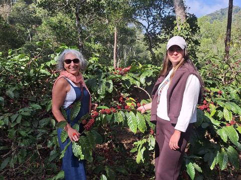 Green Land Spice Garden-帖可迪必去景点