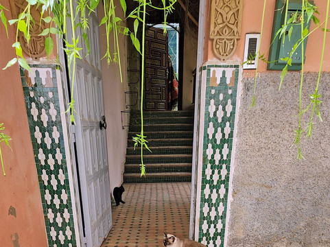 Stadtmauer Taroudant-塔鲁丹特必去景点