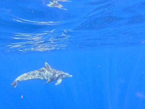 Sud Tropical-蓝湾必去景点