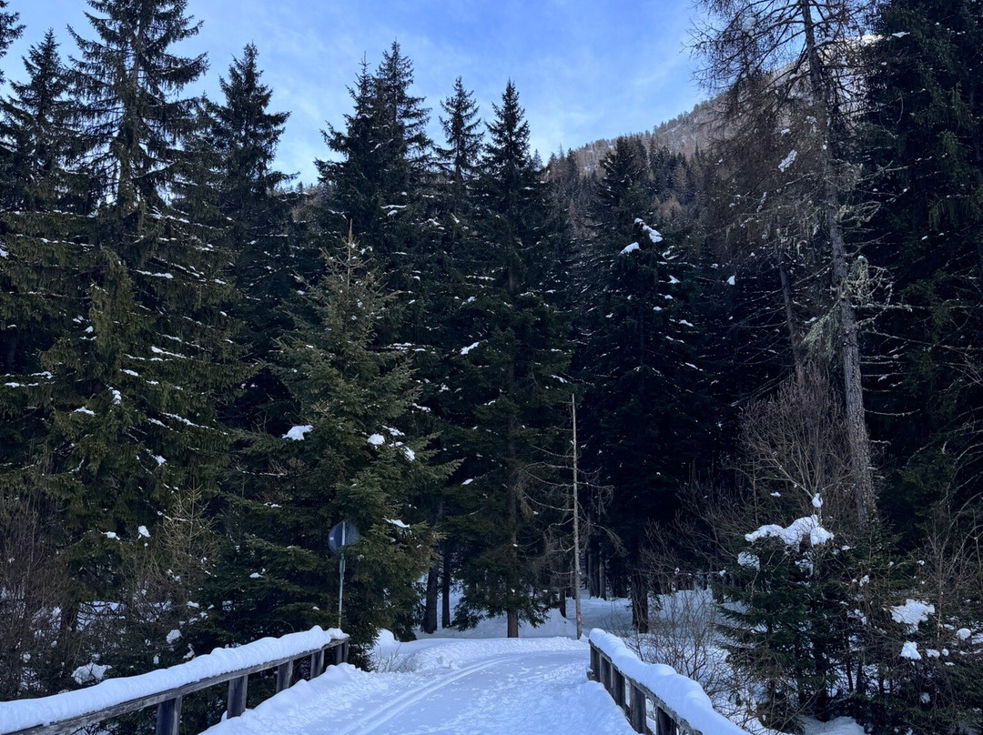 Ursus Adventures-Ossana必去景点