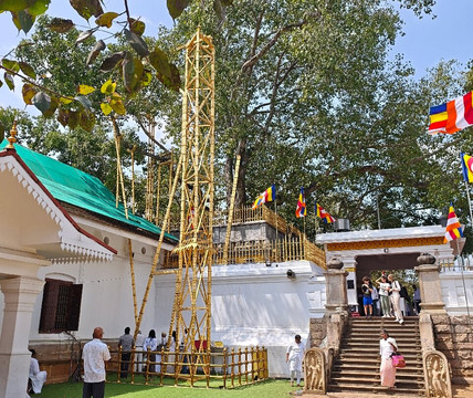 Travel With Manju-阿努拉德普勒圣城必去景点