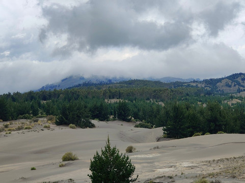 Desierto De Palmira-Chimborazo Province必去景点