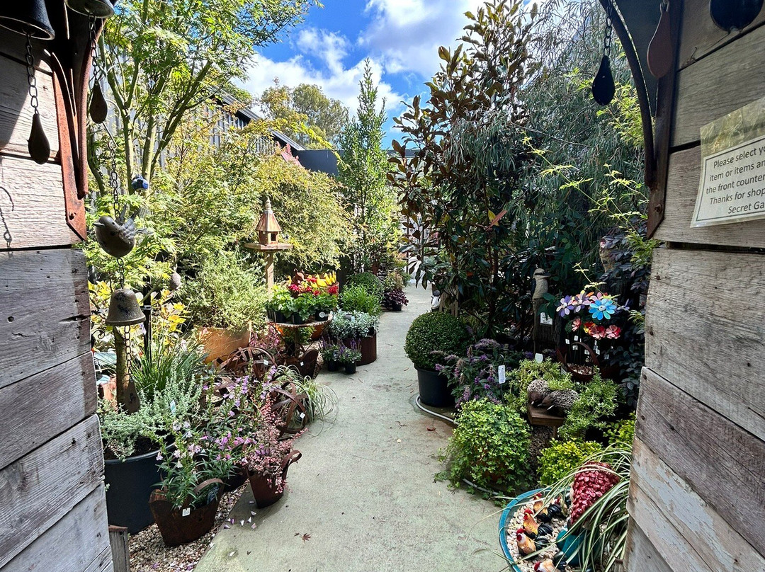 中心温泉旅店主图