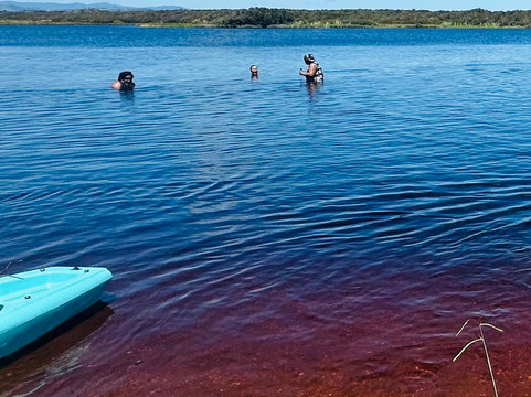 Coca Cola Lake-Karikari Peninsula必去景点