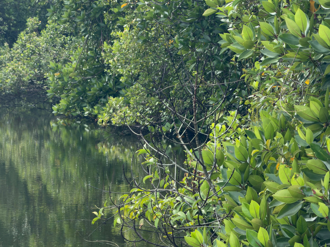 Suduhansa Tours (BoYo)-亚洪加拉必去景点