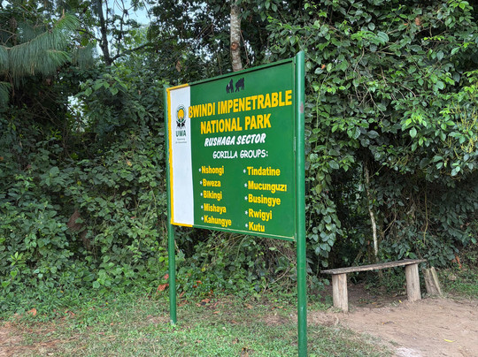 Gorilla Safari Consultants-坎帕拉必去景点