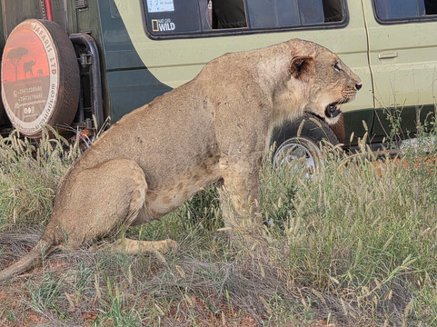 Totti Kenya-安博塞利国家公园必去景点