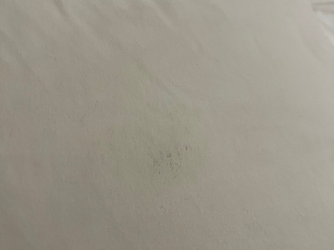 科珀斯克里斯蒂凯悦嘉轩酒店主图