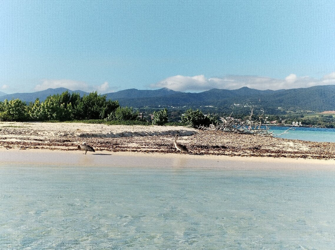 Nico Excursions-Sainte Rose必去景点