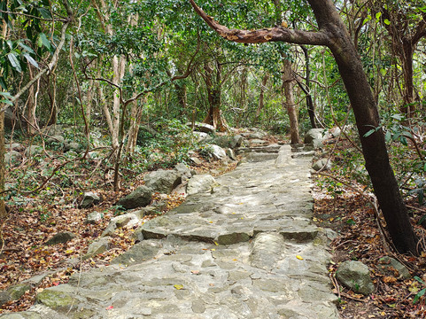 Con Dao National Park-昆山岛必去景点