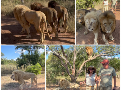 Loisico Tours and Excursions-Bloubergstrand必去景点