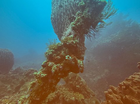 Let's Dive Tulamben-图兰本必去景点