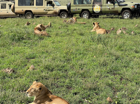 歌珊地非洲游猎之旅-阿鲁沙必去景点