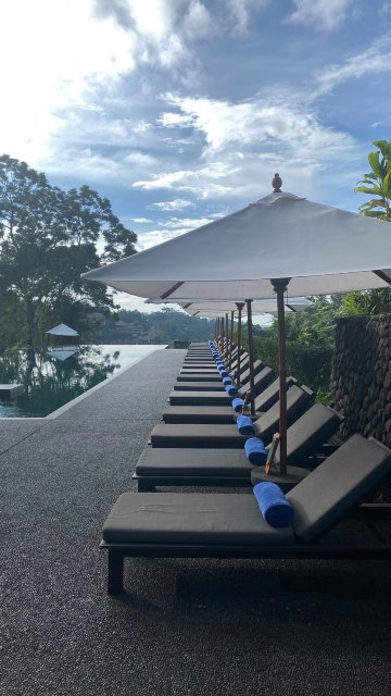 阿丽拉 乌布-官方