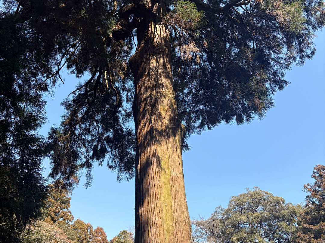 Sano Shrine-高原町必去景点