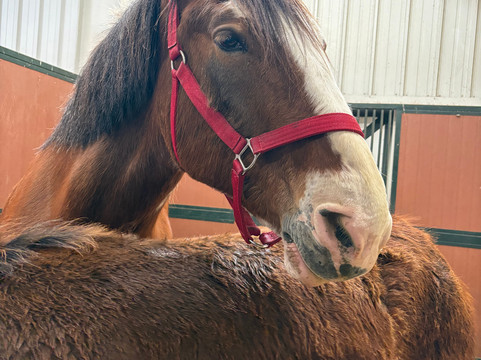 Warm Springs Ranch-Boonville必去景点
