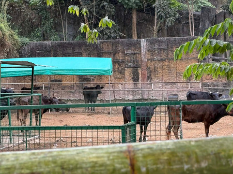 Clark Safari And Adventure Park