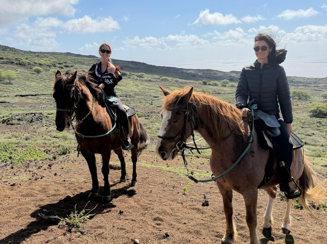 Triple L Ranch Horseback Tours-库拉必去景点