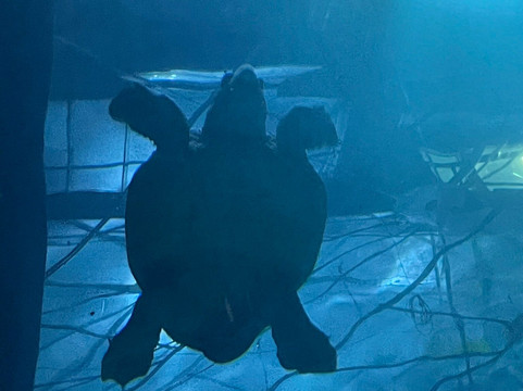 The Deep-赫尔河畔金斯顿必去景点