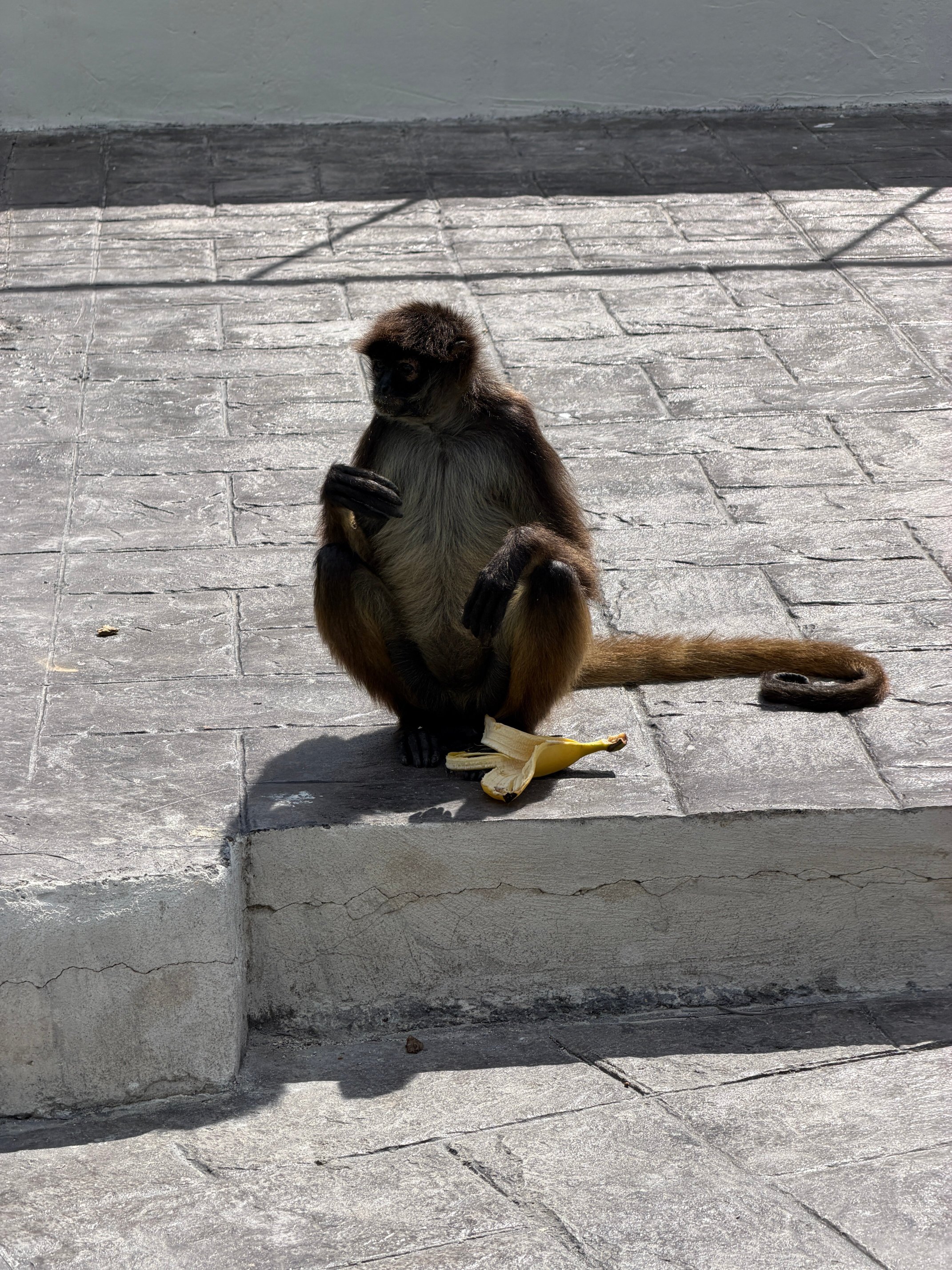 Grand Sirenis Riviera Maya Resort-浴室