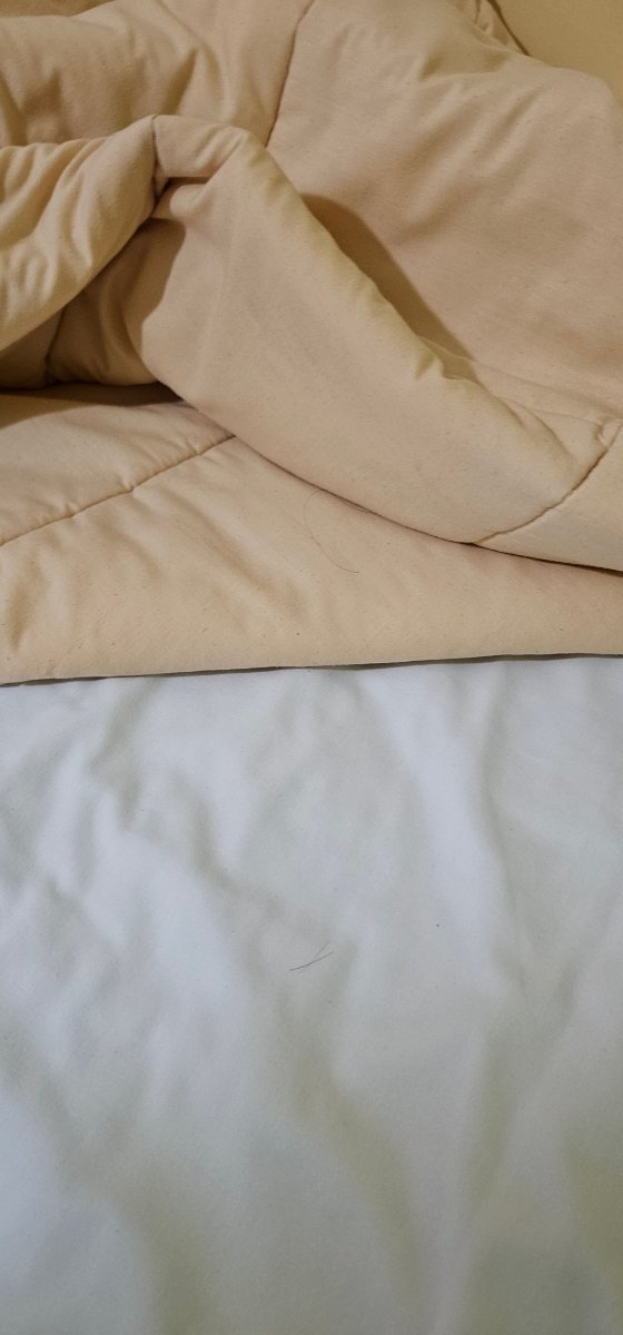 卡夹卡套房酒店-官方