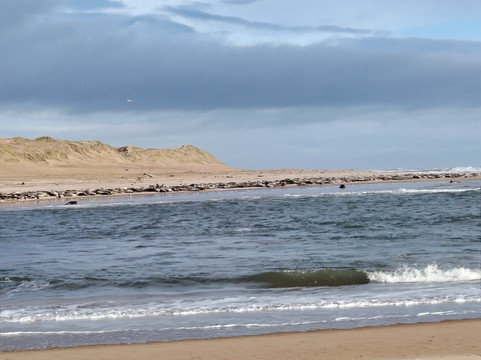 Newburgh Seals Beach-Newburgh必去景点