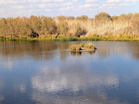 Azraq Wetland Reserve-Azraq必去景点