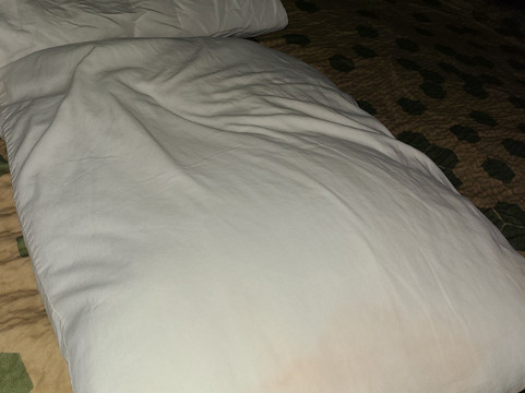 莱芒尼Travelodge by Wyndham酒店主图