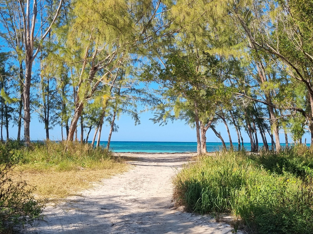 Cayo Jutías-Minas de Matahambre必去景点