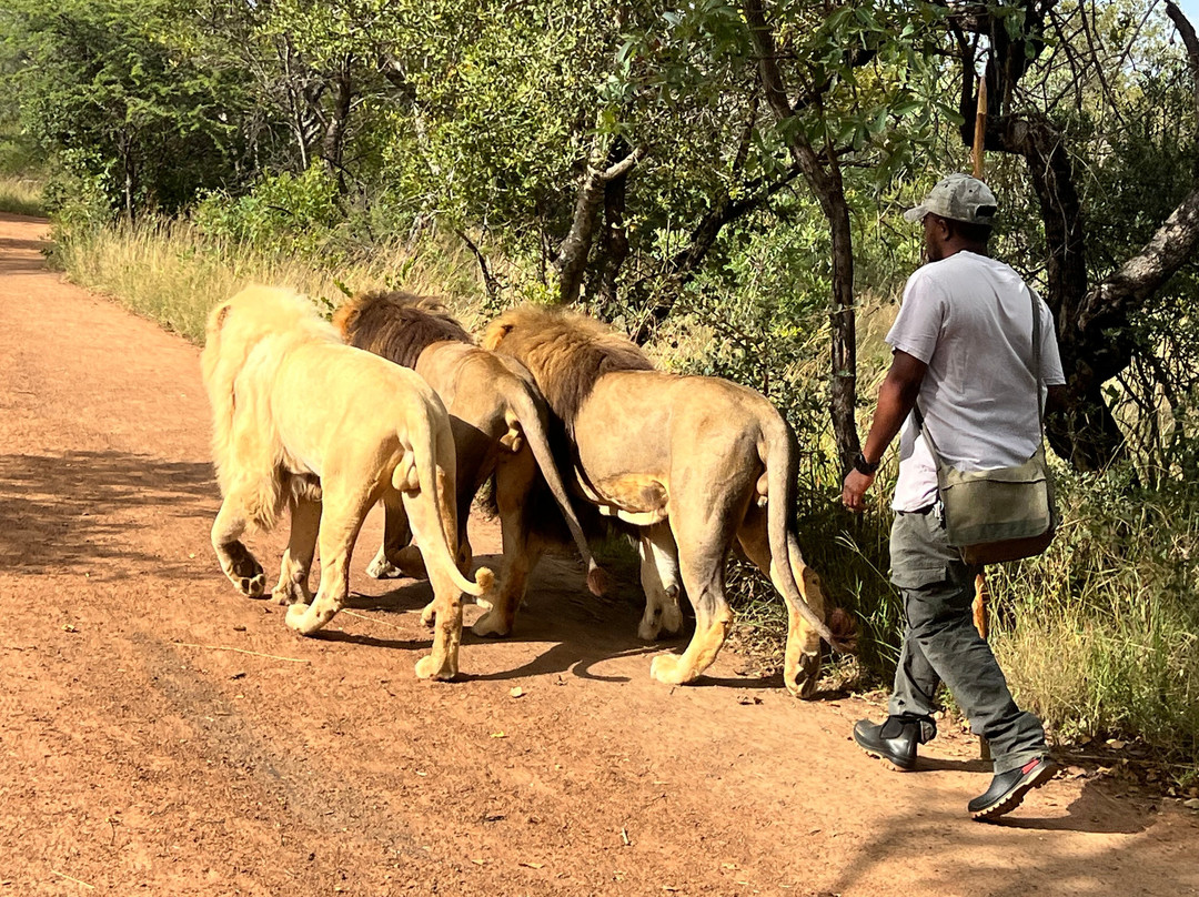 Wildside Tours and Safaris - Day Tours-约翰内斯堡必去景点