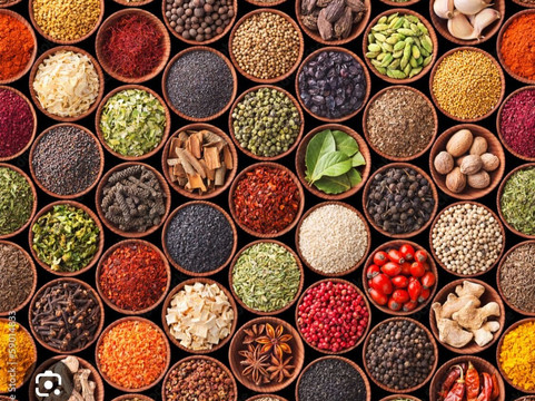 Top Notch Restaurant South Indian tamil