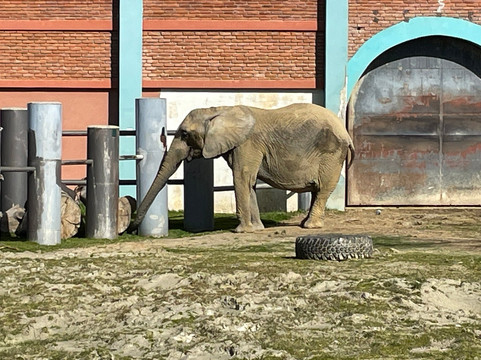 Skopje ZOO-斯科普里必去景点