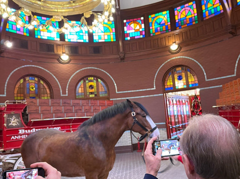Budweiser Brewery Experience-圣路易斯必去景点