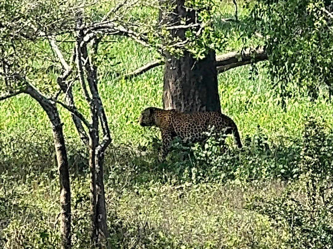 Freedom Safari Jeep Tours-蒂瑟默哈拉默必去景点