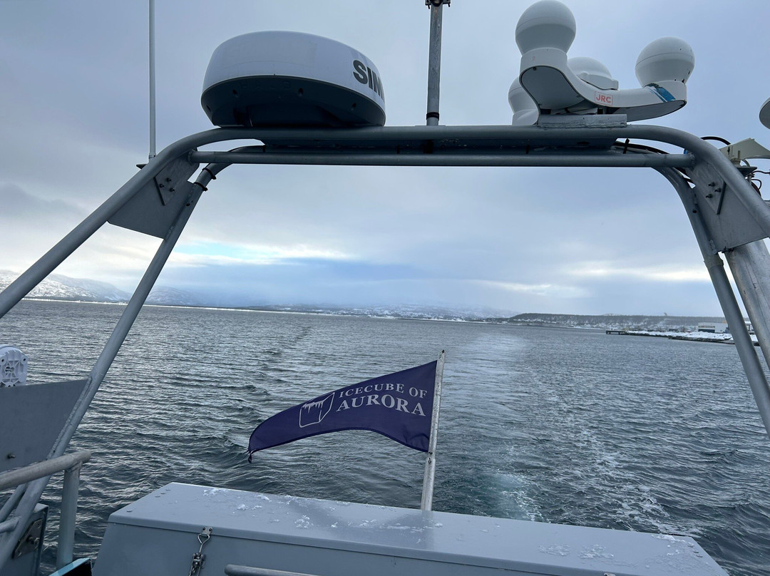 Icecube of Aurora-阿尔塔必去景点