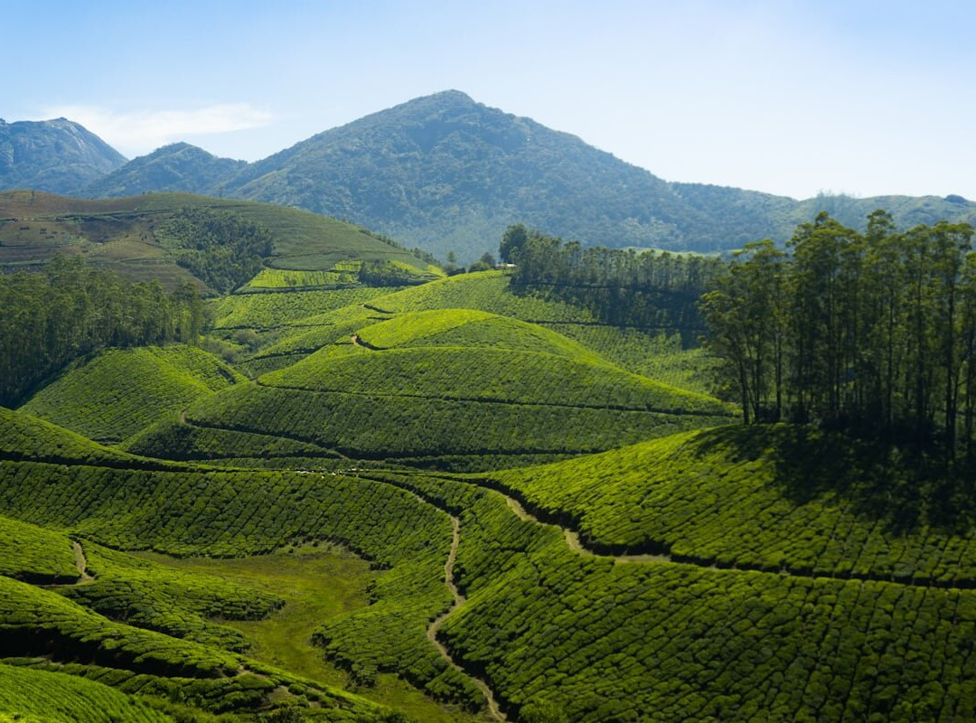 Munnar Holidays-慕那尔必去景点