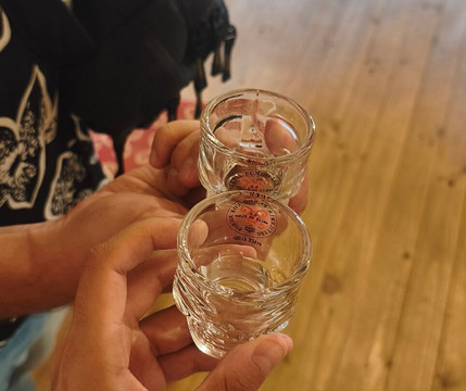 Fundo Los Nichos-Pisco Elqui必去景点